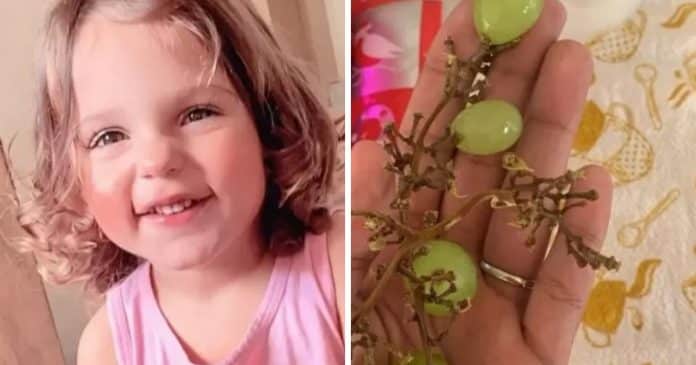 Menina de 3 anos falece após engasgar com uva: “Perigoso para crianças pequenas”
