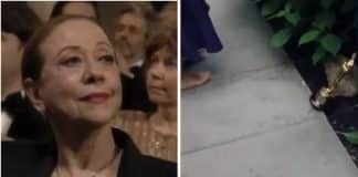 Brasileiros se revoltam com Gwyneth Paltrow por causa da estatueta do Oscar que quase foi para Fernanda Montenegro