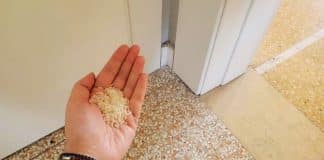 Colocar um punhado de arroz nos cantos da casa: antigo costume chinês