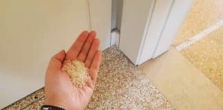 Colocar um punhado de arroz nos cantos da casa: antigo costume chinês