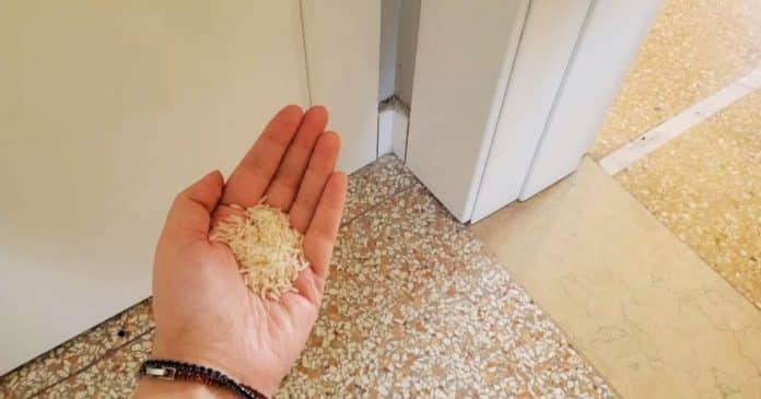 Colocar um punhado de arroz nos cantos da casa: antigo costume chinês