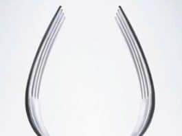 Ilusão de ótica revela se você é “obstinado e teimoso” ou “atencioso e simpático” com base no que você vê primeiro