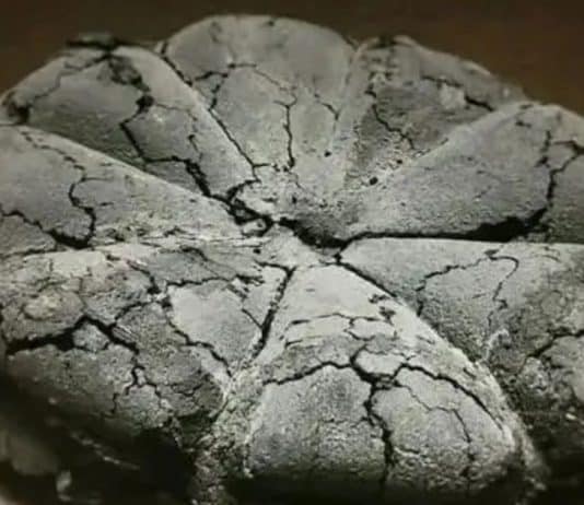 O Bolo Queimado que ensinou o valor da compreensão e amor