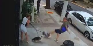 VÍDEO: Homem agride cães de irmã de ministro do STF