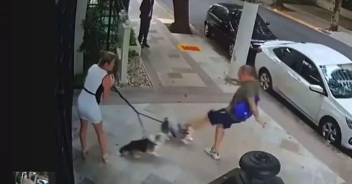 video-homem-agride-caes-de-irma-de-ministro-do-stf VÍDEO: Homem agride cães de irmã de ministro do STF