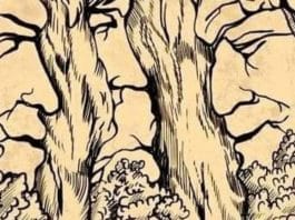 Você é capaz de descobrir quantos rostos têm na imagem?