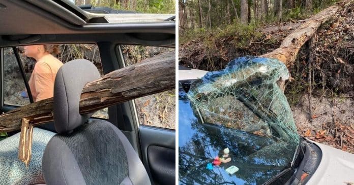 Adolescentes têm sorte de estar vivas depois que árvore atravessou o para-brisa ao cair em seu carro: “É um milagre”