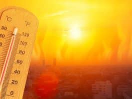 Brasil terá nova onda de calor: máximas podem passar dos 44°C a partir desta quarta-feira