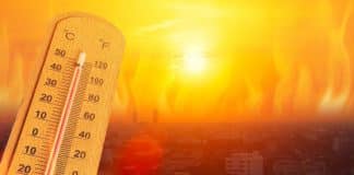 Brasil terá nova onda de calor: máximas podem passar dos 44°C a partir desta quarta-feira