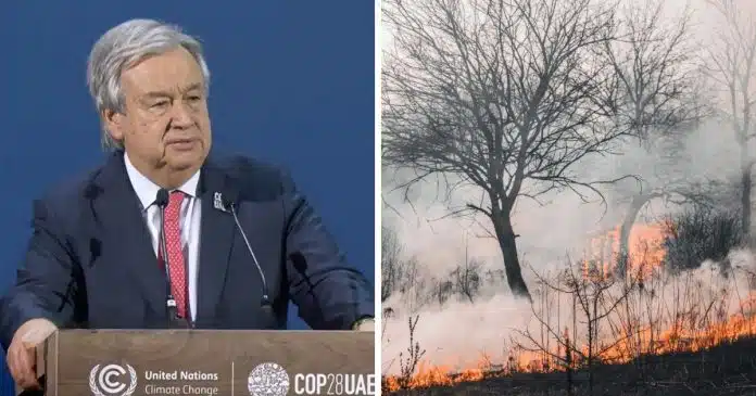 2023-e-o-ano-mais-quente-ja-registrado-afirma-chefe-da-onu-implorando-aos-lideres-mundiais-que-ajam “2023 é o ano mais quente já registrado”, afirma chefe da ONU, implorando aos líderes mundiais que ajam