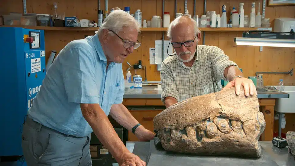 sabiaspalavras.com - Enorme monstro marinho é descoberto nas Falésias de Dorset