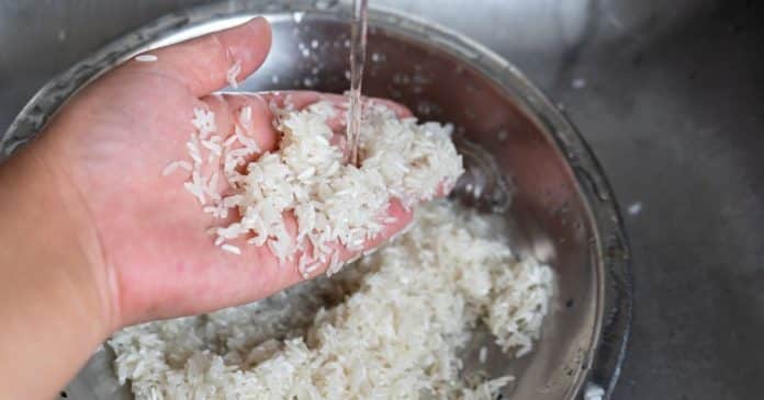 Pesquisa revela que você deve lavar o arroz antes de cozinhar; saiba o motivo