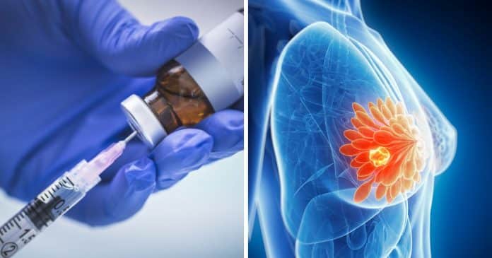 Vacina experimental contra câncer de mama apresenta resultados promissores