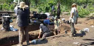 Terra preta da Amazônia: segredos enterrados revela verdadeira “mina de ouro”