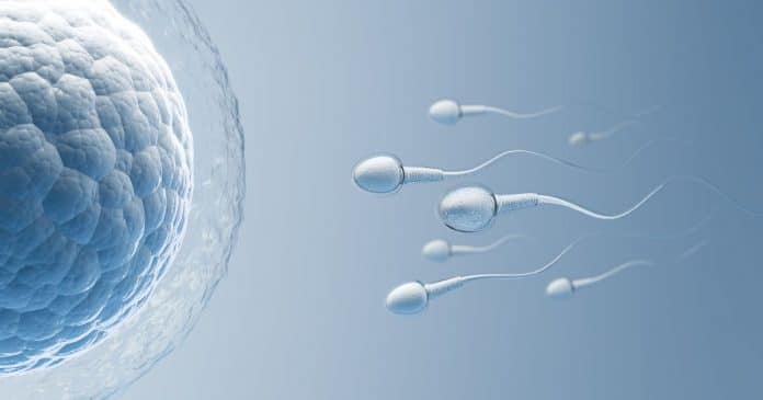 Gel anticoncepcional masculino apresenta 99% de eficácia em testes iniciais