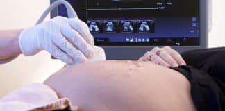 Homem trans que ia remover útero descobriu que estava grávido de 5 meses, tornando-se raro ‘pai cavalo-marinho’