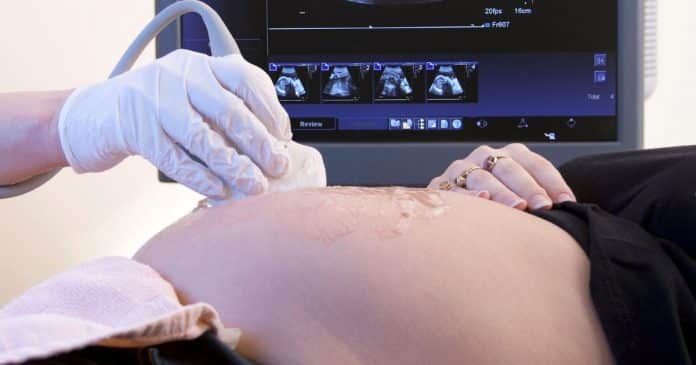 Homem trans que ia remover útero descobriu que estava grávido de 5 meses, tornando-se raro ‘pai cavalo-marinho’
