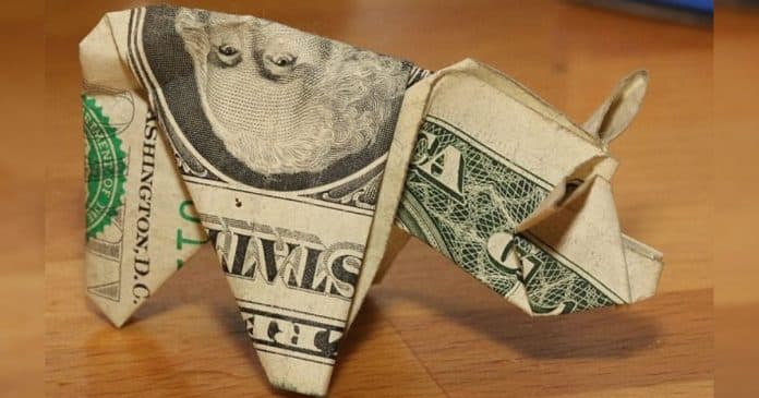 Motorista paga multa de U$ 137 com 137 porquinhos de origami, em uma caixa de donuts, feitos com notas de 1 dólar