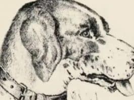 TESTE DE VISÃO: Essa imagem esconde um segredo sombrio