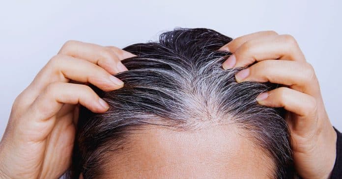 Cientistas brasileiros desenvolvem tônico capilar que reverte de vez os cabelos brancos