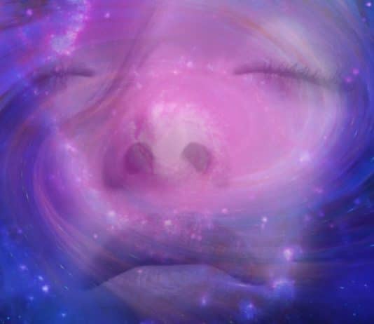 Como usar a energia do universo a nosso favor e transformar positivamente a vida