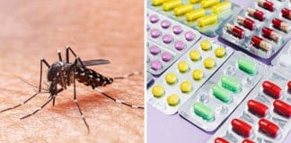 Dengue: Entenda as consequências de tomar um medicamento contraindicado para o tratamento da doença