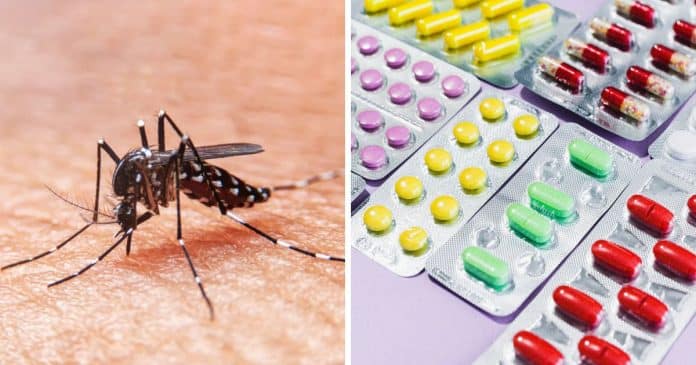 Dengue: Entenda as consequências de tomar um medicamento contraindicado para o tratamento da doença