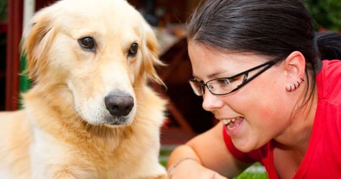 Cientistas revelam que cães podem compreender substantivos e unir palavras em suas mentes