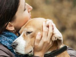 Pesquisadores revelam que perder um cachorro pode ser tão difícil quanto perder um ente querido