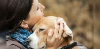 Pesquisadores revelam que perder um cachorro pode ser tão difícil quanto perder um ente querido