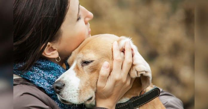 Pesquisadores revelam que perder um cachorro pode ser tão difícil quanto perder um ente querido