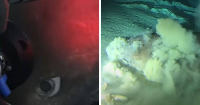 Vídeo mostra submarino entrando em contato com ‘monstro do fundo do mar’ mais velho que os dinossauros