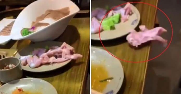 VÍDEO: Clientes gritam quando um pedaço de carne crua ‘zumbi’ rasteja do prato para o chão em restaurante