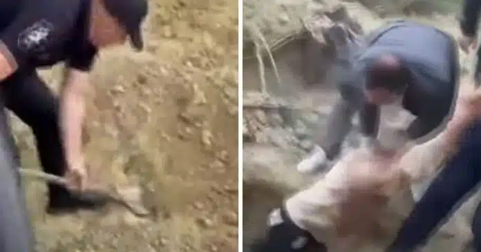 homem-enterrado-vivo-e-encontrado-com-vida-4-dias-depois-enquanto-a-policia-investigava-outro-crime VÍDEO: Homem enterrado vivo é encontrado com vida QUATRO dias depois enquanto a polícia investigava outro crime
