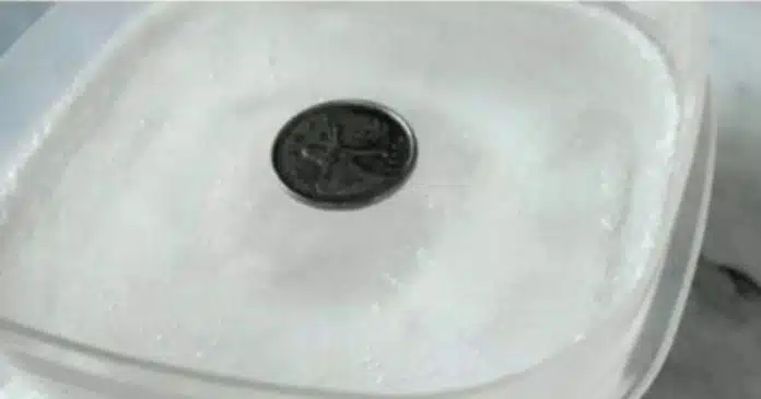 Motivo surpreendente de por que as pessoas colocam uma MOEDA NO FREEZER antes de sair de casa por vários dias