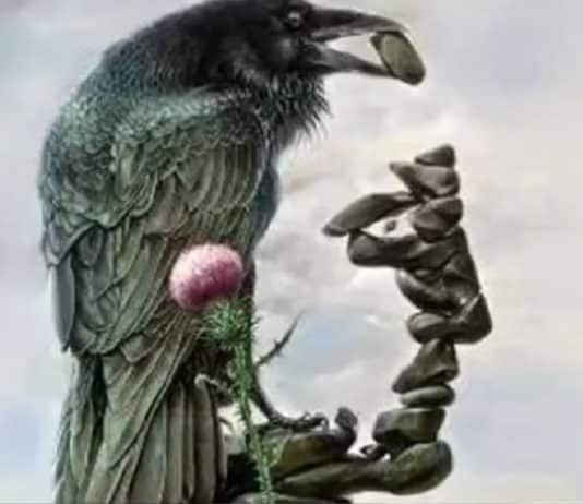 Ilusão de ótica revela se você é muito crítico ou se tem opiniões fortes, dependendo do que você vê primeiro