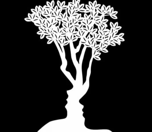 Teste de ilusão de ótica revela se você sabe quando alguém NÃO É CONFIÁVEL ou se é um mero SOLUCIONADOR DE PROBLEMAS