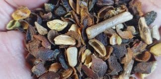 Ministério da Agricultura do Brasil divulga lista de marcas de café com lotes ‘impróprios para consumo’