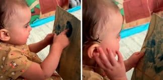 Vídeo impressionante mostra bebê se reconhecendo em foto de uma mulher já falecida: “Sou eu”