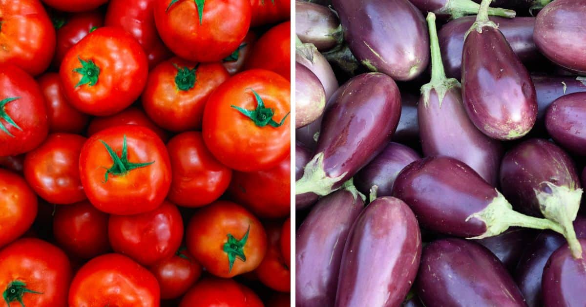 Você sabia que alguns dos seus vegetais favoritos contêm nicotina? Descubra quais são!