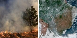 Fumaça dos incêndios da Amazônia e do pantanal já atinge 10 estados e gera alerta