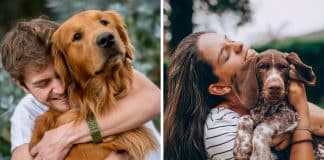 Veterinário revela motivo chocante pelo qual você nunca deve abraçar seu cachorro; Entenda