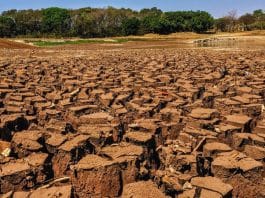 ALERTA: Mais de mil cidades brasileiras estão sem chuva há três meses