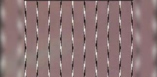 Ilusão de ótica: você é capaz de responder quais são as linhas retas nesta imagem?