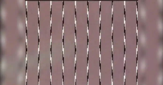 ilusao-de-otica-voce-e-capaz-de-responder-quais-sao-as-linhas-retas-nesta-imagem (2) Ilusão de ótica: você é capaz de responder quais são as linhas retas nesta imagem?