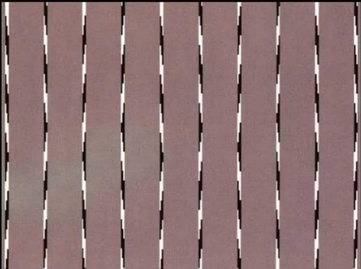 sabiaspalavras.com - Ilusão de ótica: você é capaz de responder quais são as linhas retas nesta imagem?