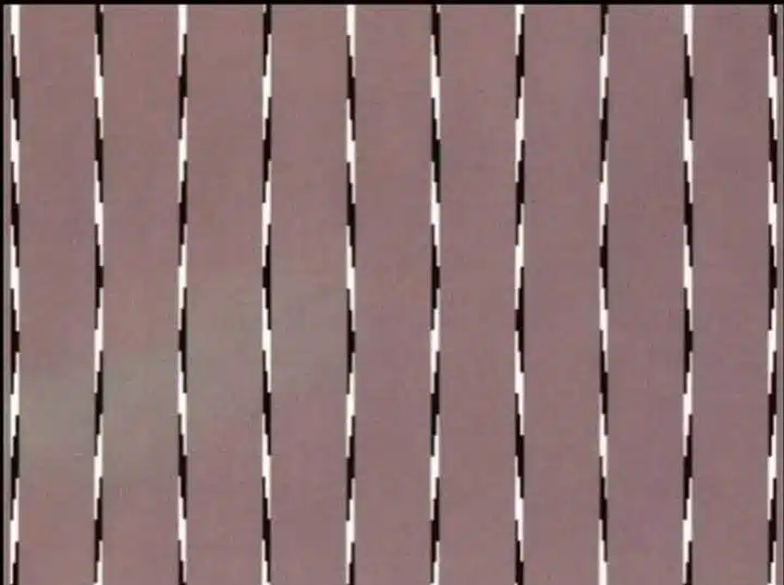 sabiaspalavras.com - Ilusão de ótica: você é capaz de responder quais são as linhas retas nesta imagem?