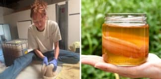 Internautas ficaram horrorizados depois ver como é feito Kombucha: “Vou chorar”