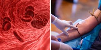 Novo grupo sanguíneo é descoberto por cientistas e mistério de 50 anos é resolvido