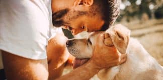 12 Comportamentos humanos – que você deve fazer – mas que seu cão realmente odeia